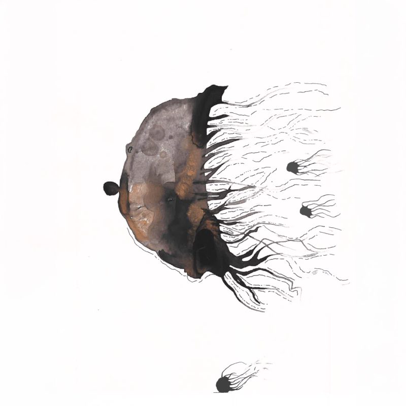 MAGNA TEMPOR