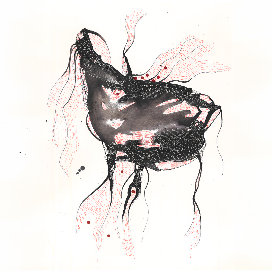 RISUS CONGUE VIVERRA